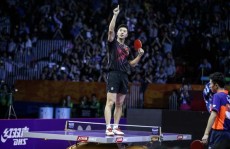 NBA赛车球星动态乒乓球分析深度游泳历史资讯